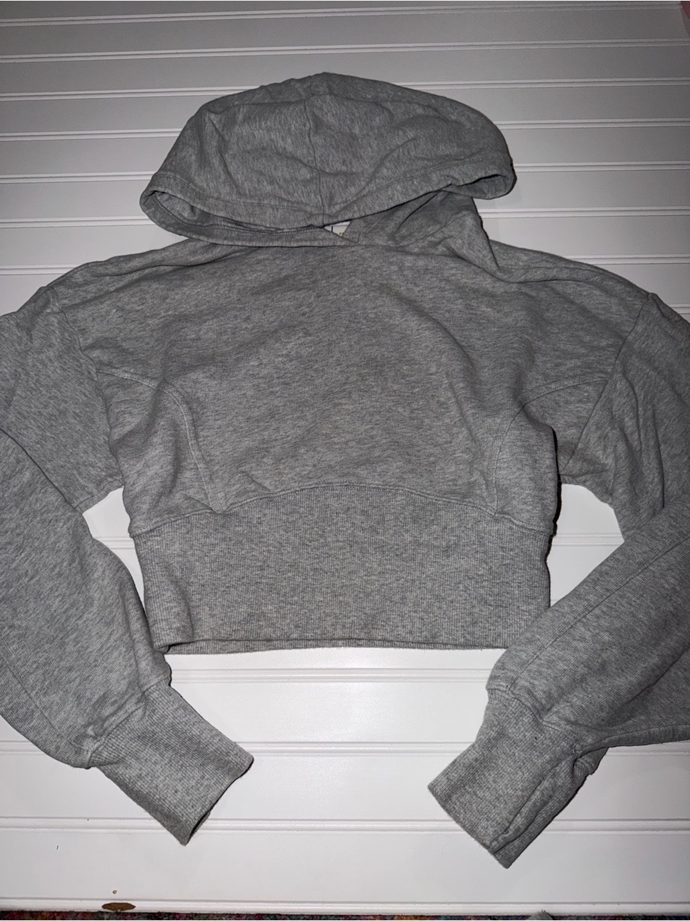 Aerie Cropped Hoodie Small